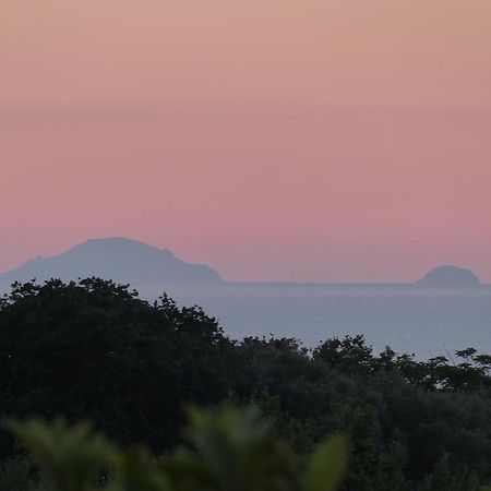 Gullo Capo Vaticano 리카디 외부 사진